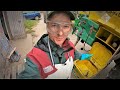 MFV-log #14 Crashkurs Pflanzenschutz - einmal Pizza Fungi bitte?