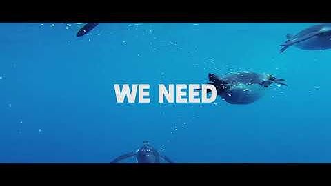 Climate and Biodiversity Initiative: the challenge of preserving biodiversity