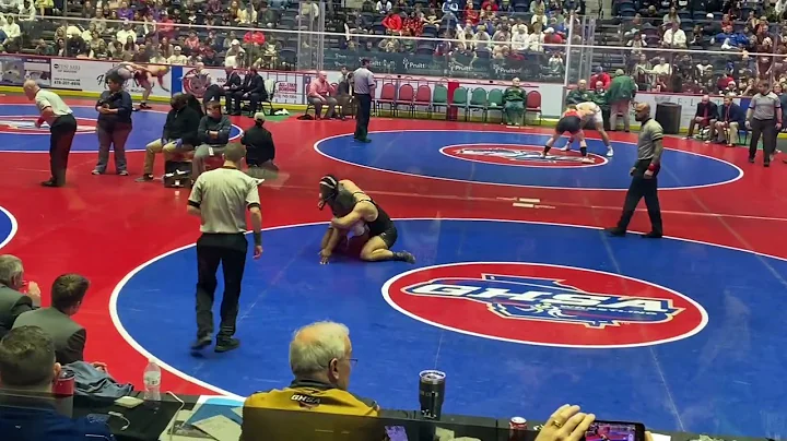 GA 2022 State Wrestling Championship -5A 220