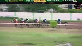 She's a Maneater (JAM) - 2019 Jamaica Super Stakes