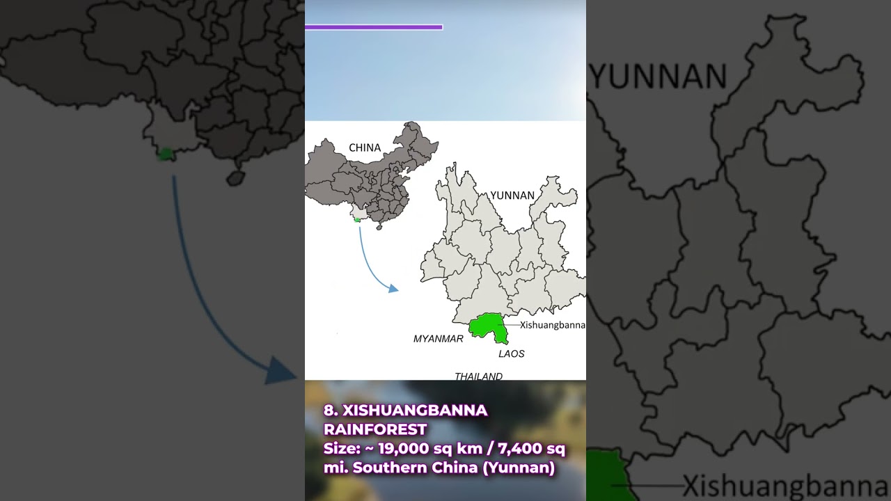 The 10 Largest Forests in the World [PART 1]