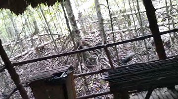 Nhà hậu cần (Di tích lịch sử chiến khu rừng sác-Cần Giờ).