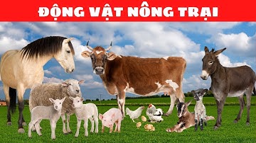 Âm Thanh Các Con Vật | 50 TIẾNG KÊU CÁC CON VẬT QUEN THUỘC CHO BÉ | Động Vật Nông Trại