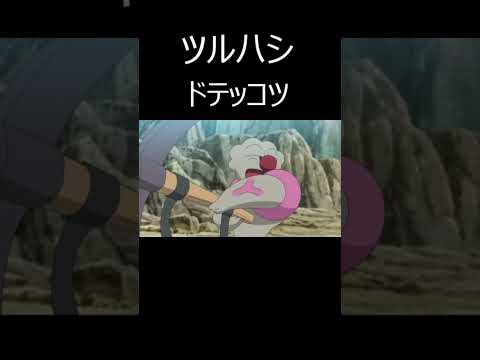 アニポケ　チートすぎるポケモンnew１００万　#shorts  #アニポケ　#アニメ  #ポケモン