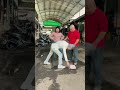 Instant Karma: Bag in the Trash![KINDNESS BOSS] #shorts #viral #trend #kind #kungfu #funny
