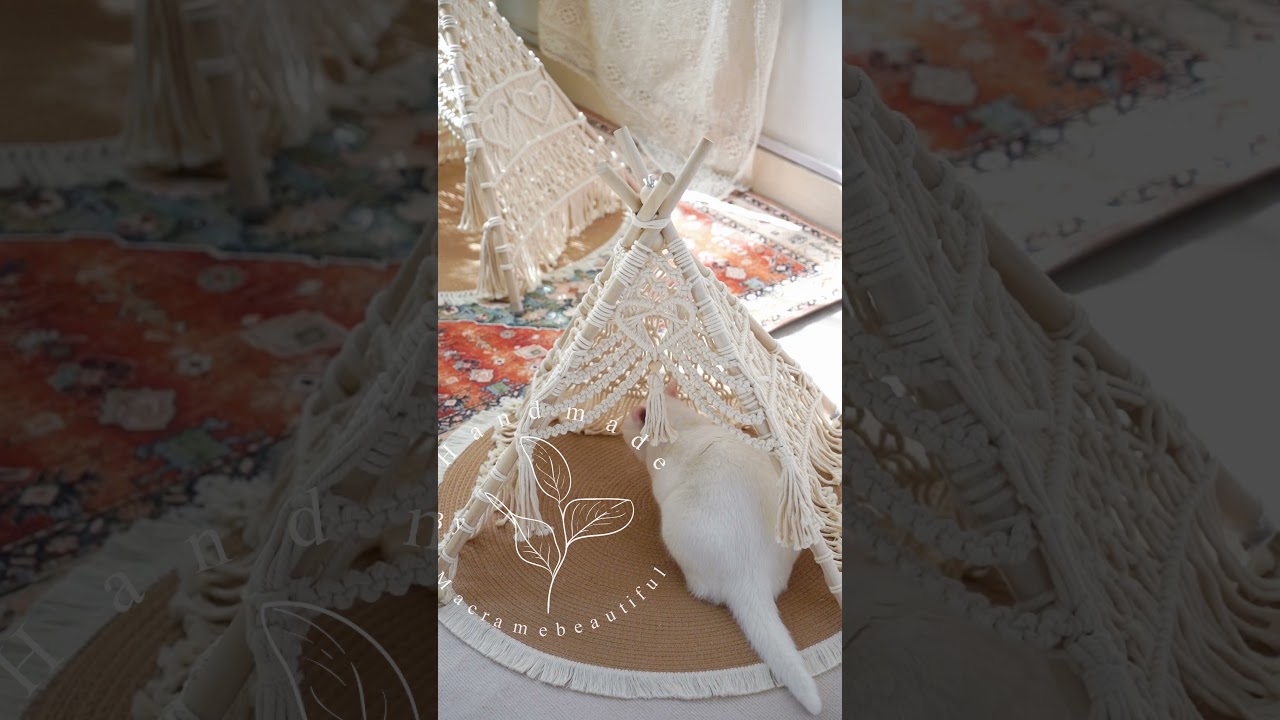 Indulging the Feline Spirit: Witness our Cat's Delight in the Macrame Cat Tent