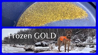 Beach mining ,How much GOLD ? by Flour gold Wizards 14,220 views 3 months ago 16 minutes