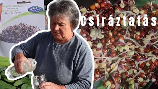 Téli vitamin pótlás | CSÍRÁZTATÁS