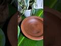ගමේ විදියට කාලා බලන්න හිතුනා #onemillionviews #food #8millionviews #viralvideo #fypシ゚viral