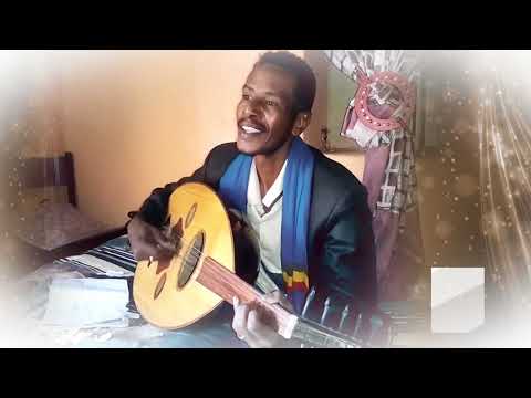 النور الشريف حركي كشكشي