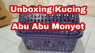 UNBOXING KUCING | ABU ABU MONYET