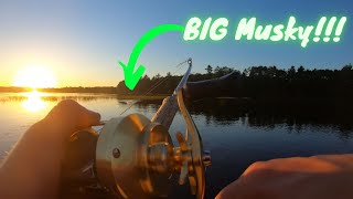 First Musky LOSS of 2021 - BIG Musky!