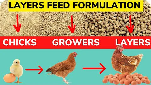 LAYER CHICKEN FEED FORMULATION. Make Your Own Layers Chicken Feed Easily. Chicks, Growers, Layers. - DayDayNews