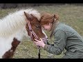 Любимые пони)