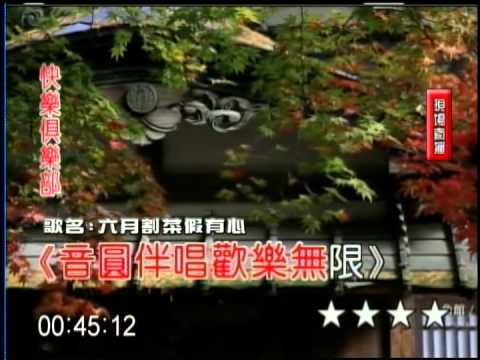 電視主持喬安-六月割菜假有心
