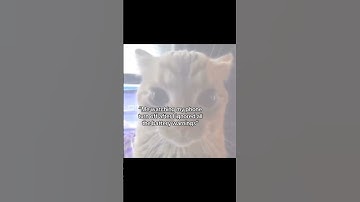 I Ignored Every Battery Warning… Then THIS Happened