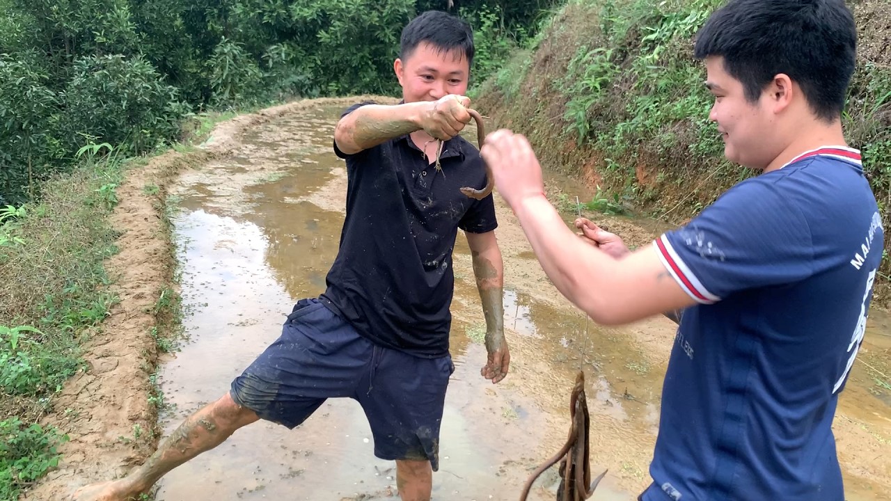 Khai Xuân Đầu Năm Bắt Toàn Lươn Hàng Khủng - A Nhiệm Bị Lươn To Cắn Xước Hết Tay.