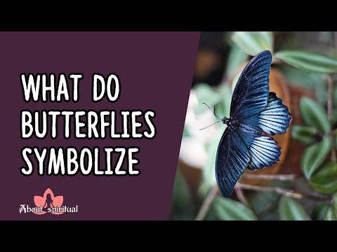 Video: What Does The Butterfly Symbolize