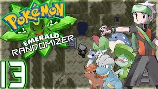 Pokemon Emerald Randomizer - Ep.13 | MEETING AT METEOR FALLS!!!