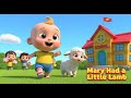 Mary Had a Little Lamb | Fun Kids Adventure Song | Educational Nursery Rhyme