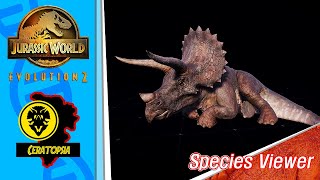 [4K] Jurassic World Evolution 2 All Ceratopsians Species Viewer