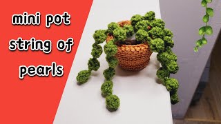 Crochet Quick & EASY🪴 Succulent - String of Pearls in step by step tutorial for beginners