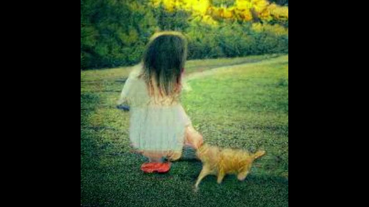 It's A Fine Day (Slowed and Reverb) - Miss Jane (ATB REMIX)