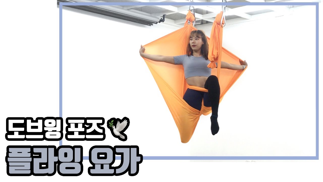 [플라잉요가] 쉽고 자세한 설명 포함/도브윙 포즈 입니다.