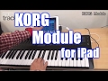 KORG MODULE Demo & Review