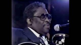 B.B. King - Why I Sing The Blues (live 1990)