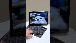 Turn your iPad into laptop in seconds. IG: nevcase.us