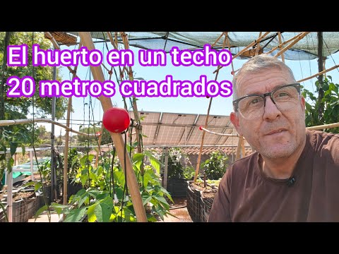 The 215-square-foot rooftop garden