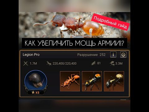 ПОВЫШАЕМ МОЩЬ АРМИИ! 5 простых советов. The Ants: Underground Kingdom