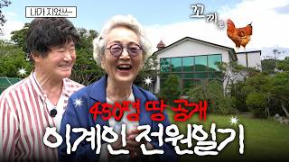 김영옥 KIM YOUNG OK 대표 영상 썸네일