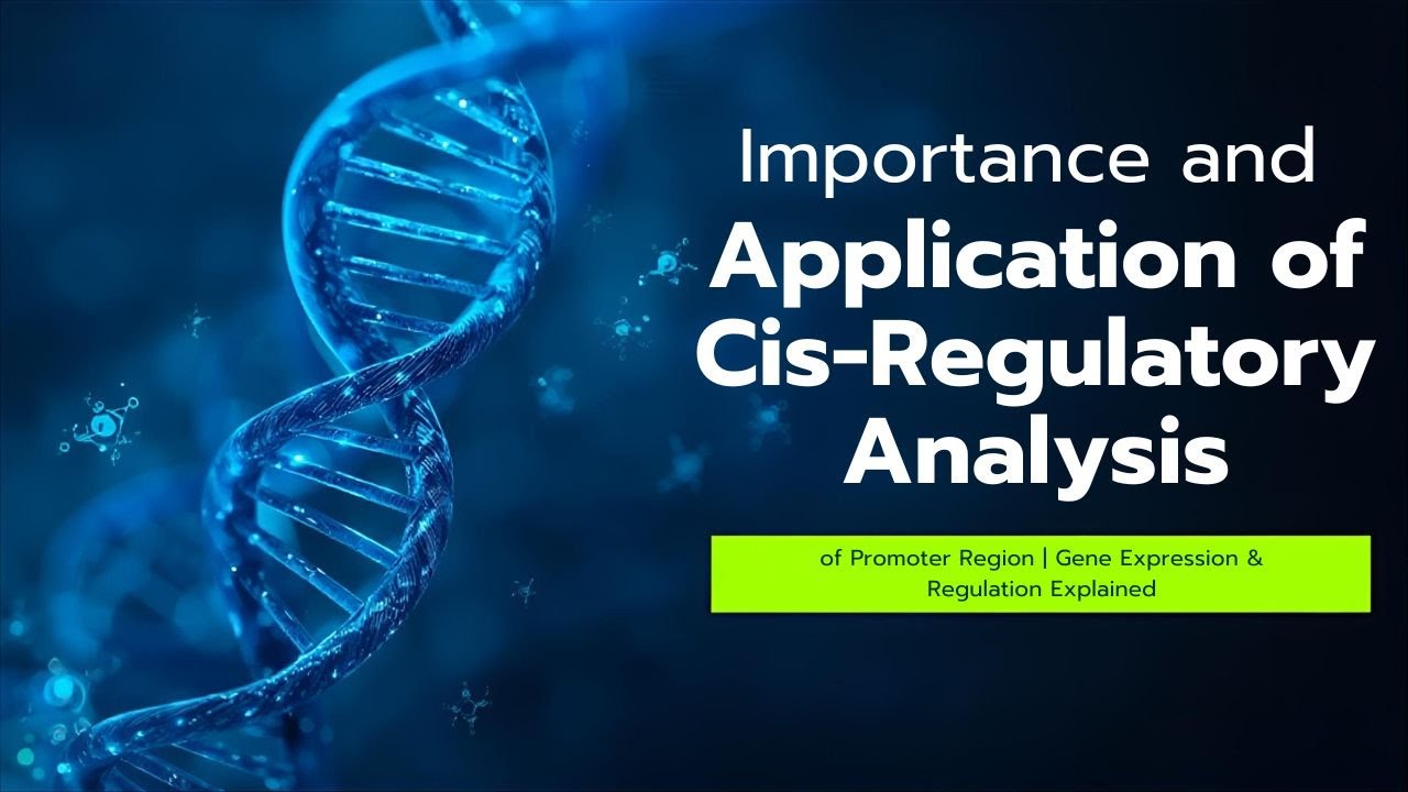 Cis-Regulatory Analysis of Promoter Regions | Importance & Applications in Gene Expression