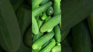 Cucumber Benefits||Healthy Tips||By-Aanshi benefits healthytips health shorts