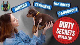 Mind-Blowing Things Unethical Doberman Breeders Are Doing NOW! by Doberman Planet 20,238 views 1 year ago 11 minutes, 42 seconds