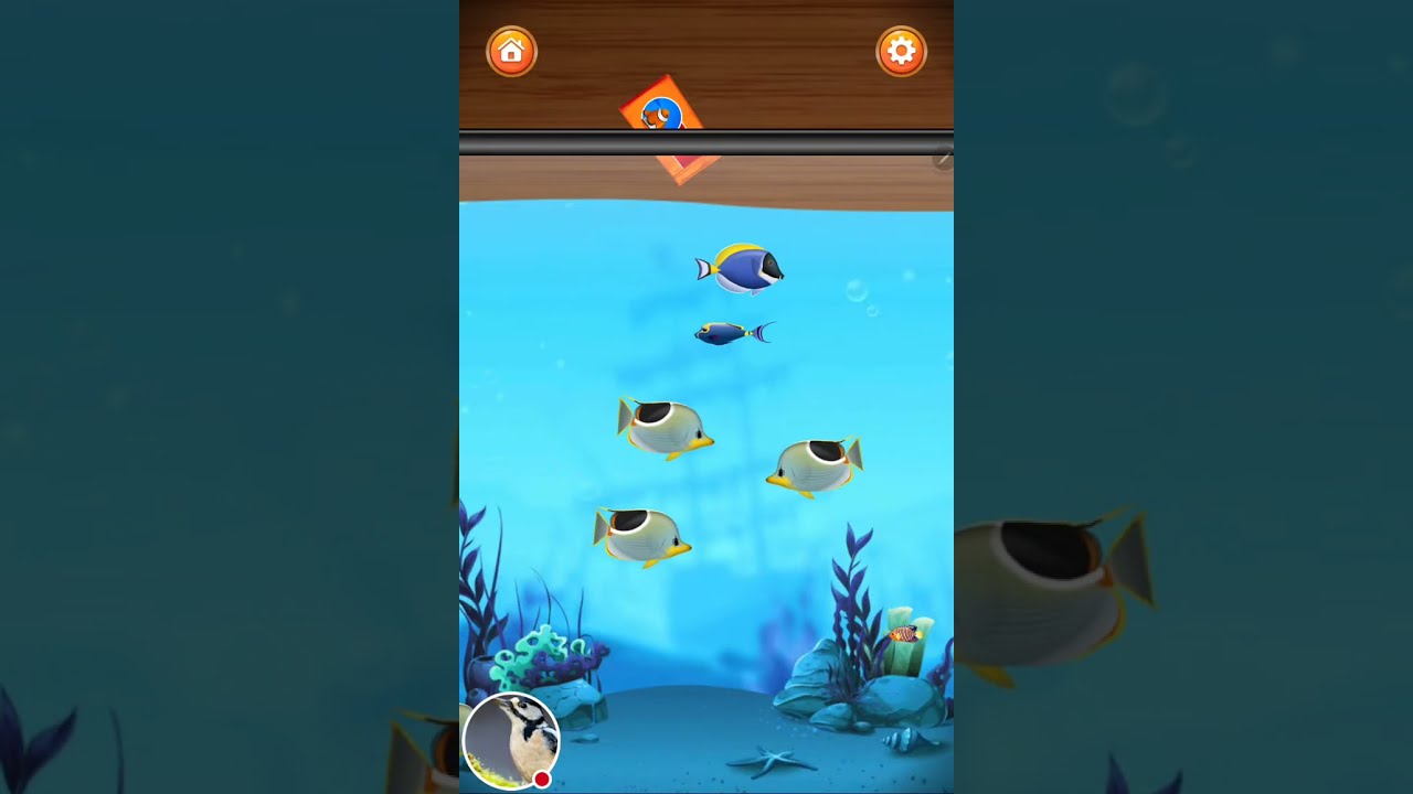 ASMR | Sleep Like a Baby #asmr #live