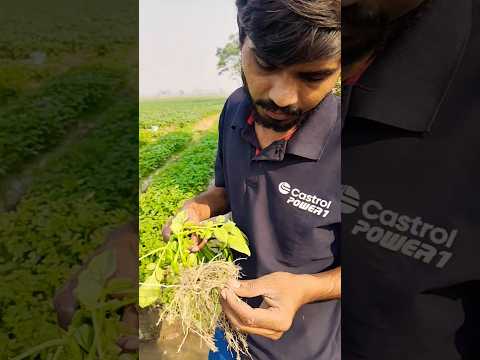 Aaj Aalu Ka Result Dekhne Gaye Minivlog Aalu Shorts