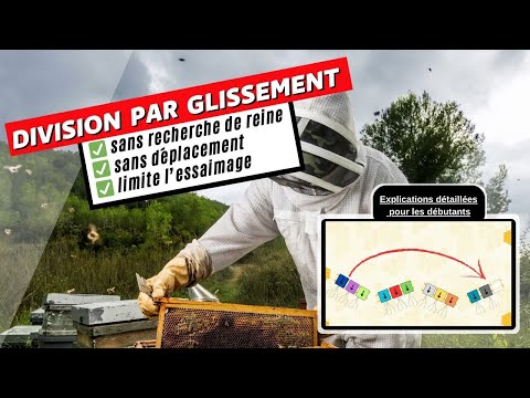 Créer un essaim