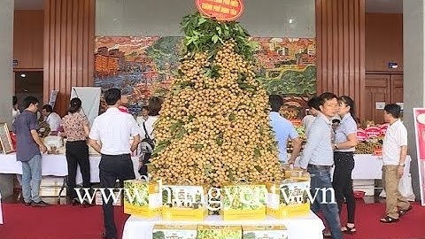 Hội nghị xúc tiến thúc đẩy tiêu thụ nhãn lồng và nông sản chủ lực của Hưng Yên