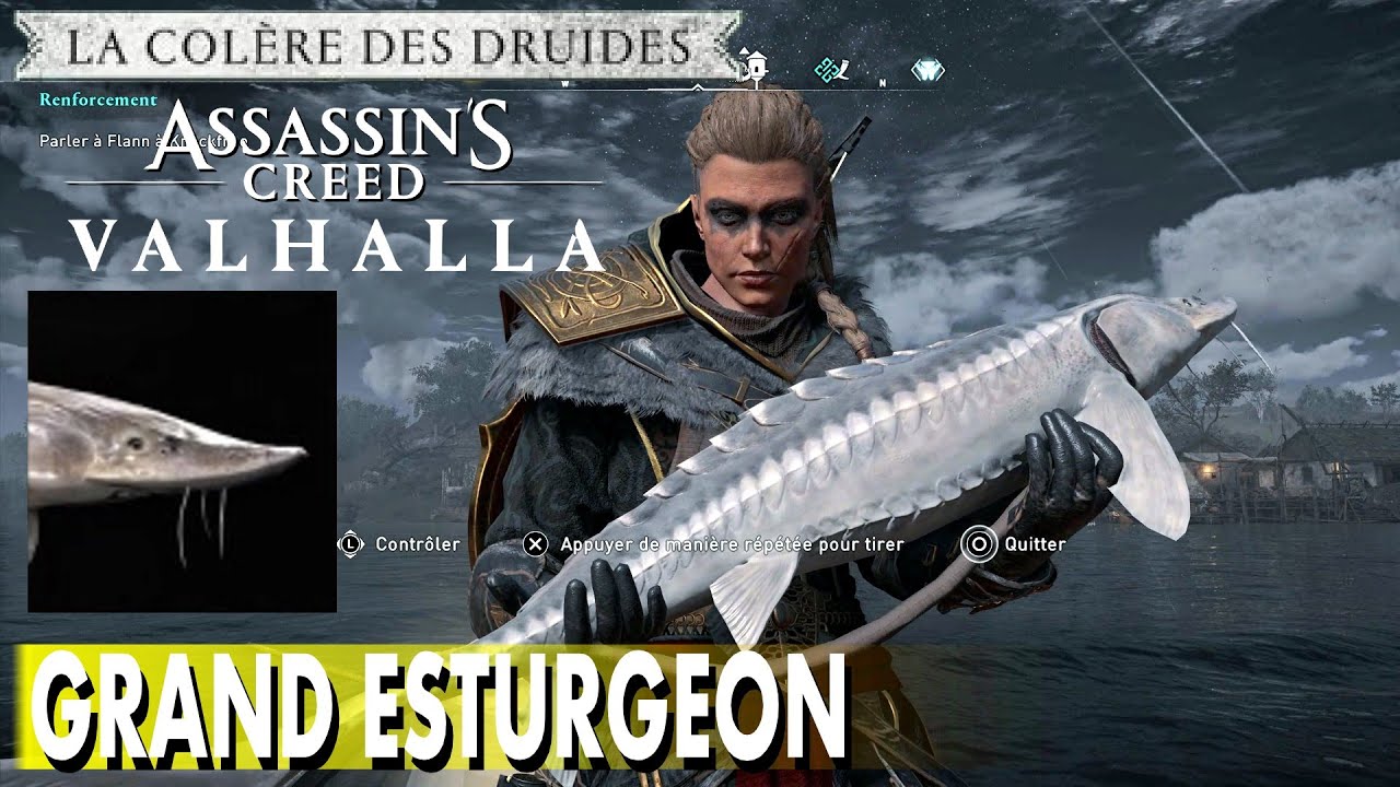 OÙ TROUVER DES GRAND ESTURGEON EN IRLANDE ASSASSIN'S CREED VALHALLA