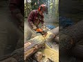 Watch this incredible wood split 💎✨