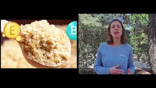 CATERINA GORGI   EL GERMEN DE TRIGO Y SUS PROPIEDADES