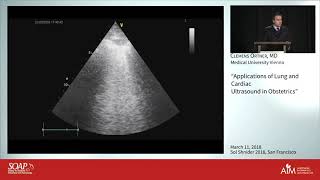Applications of Lung and Cardiac Ultrasound in Obstetrics - Clemens Ortner, M.D., M.Sc., DESA