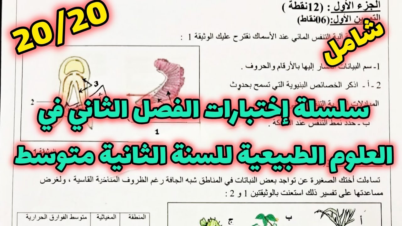 الإختبار الثاني في العلوم الطبيعية للسنة الثانية متوسط شامل لكل دروس الفصل الثاني ماتراطيش