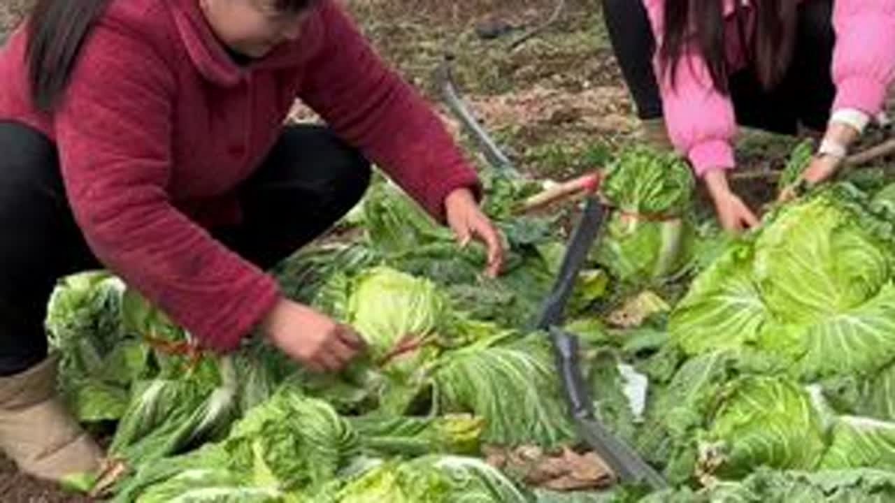 天冷了，今天给婆婆买了一件衣服，婆婆也是妈，希望一份真心能换来和睦安然。#婆媳 #农村生活