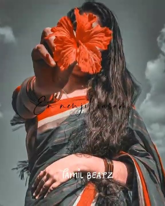 Alone girl status ❤️ Tamil alone girls status 🥺💫  Thanimai status 🥺 @tamilbeatz