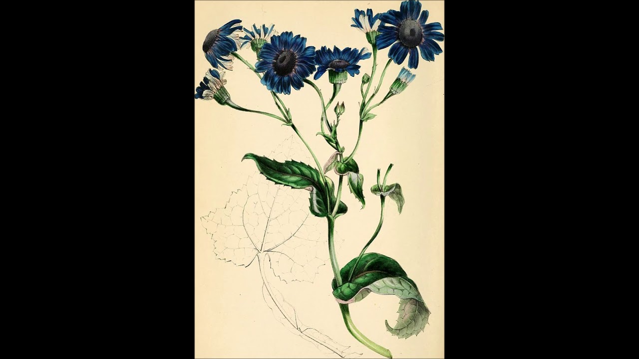 Mendelssohn: String quartet op. 44 no. 2, Eroica Quartet