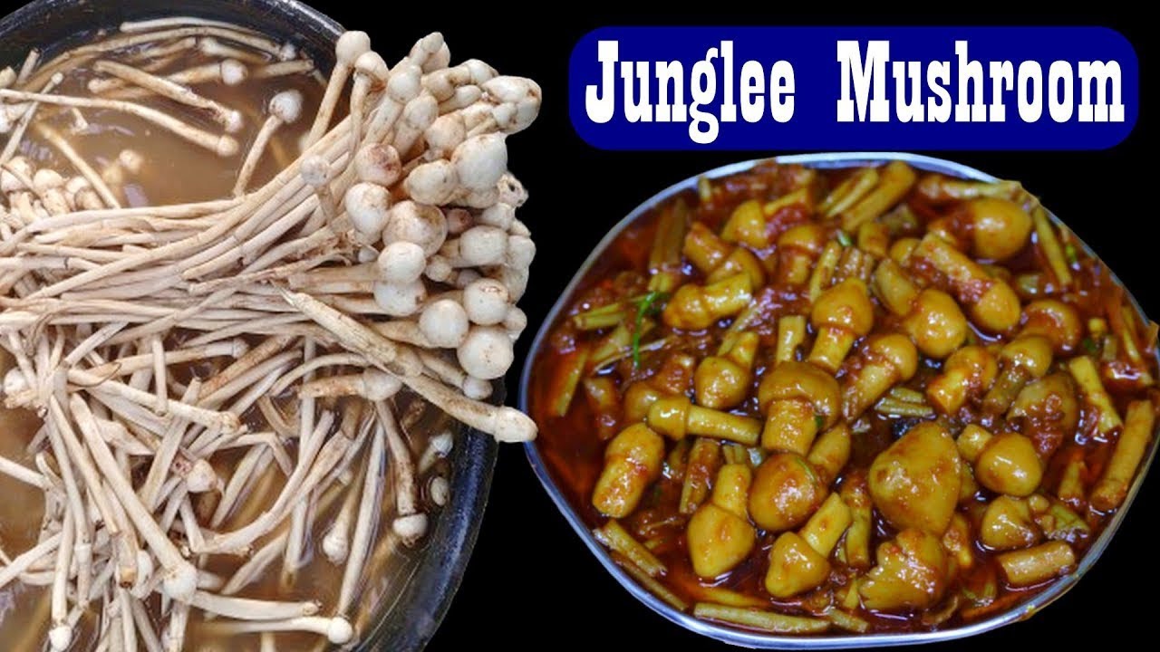 MASHROOM FRY 🍄🌳Jungle Mashroom 